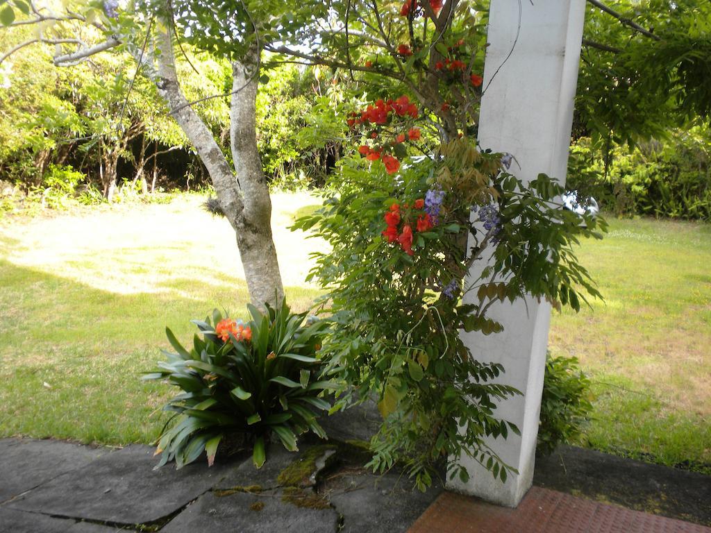 Casa Do Areal Βίλα São Roque do Pico Εξωτερικό φωτογραφία